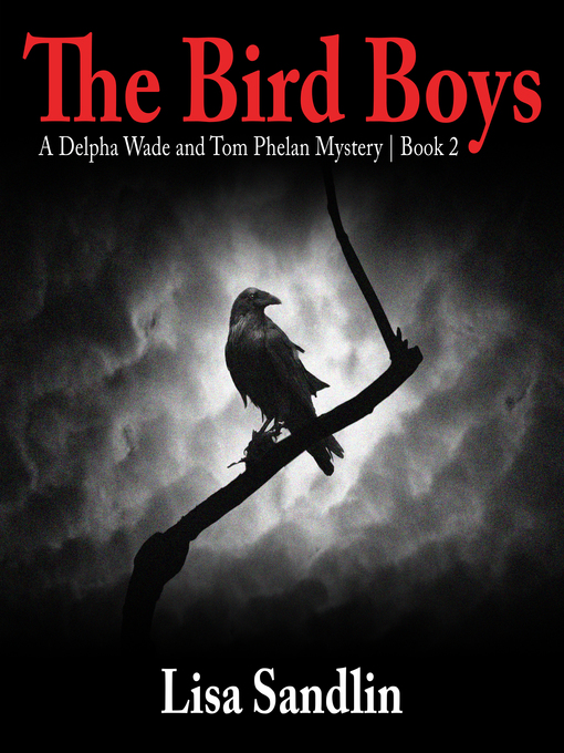 Title details for The Bird Boys by Lisa Sandlin - Available